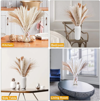 Sanmadrola 85 Pcs Dried Pampas Grass – Boho Natural Home Décor Set